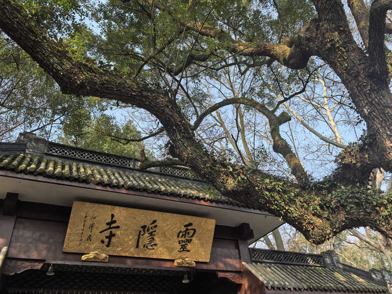 图片344.jpg
