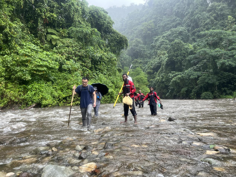 万水千山只等闲，践行六讲勇向前 ——所罗门金岭水电站项目勘测工作侧记
